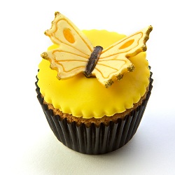 Butterfly cupcake