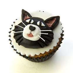 Cat cupcake