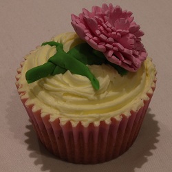 Carnation cupcake