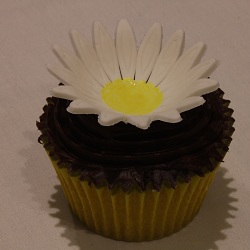 Daisy cupcake