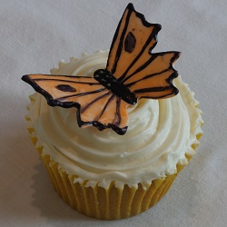 Butterfly cupcake